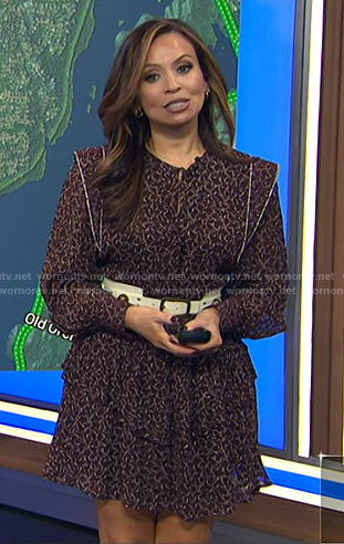 Adelle's brown abstract print mini dress on Today