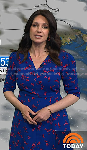 Maria's blue floral v-neck dress on Today
