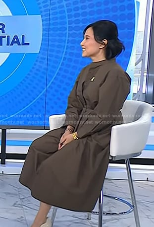 Vicky's bornw long sleeve poplin dress on Today