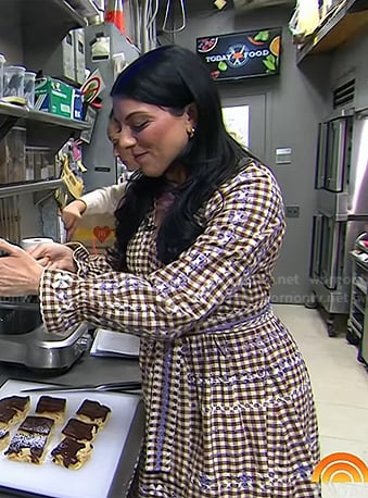 Danielle Sepsy's brown check embroidered dress on Today