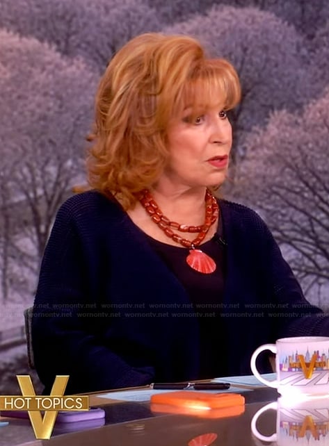 Joy's blue cardigan and necklace on The View
