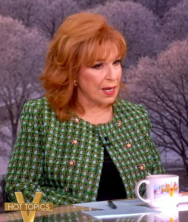 Joy's green tweed jacket on The View