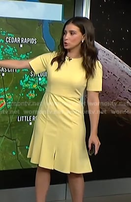 Angie Lassman's yellow short sleeve dress on NBC News Daily