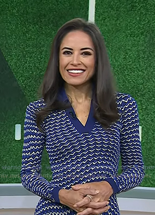 Kaylee's blue printed polo dress on Today