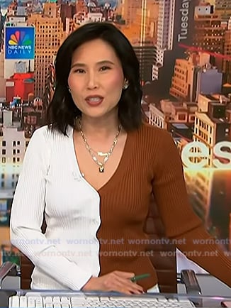 Vicky's brown and white colorblock cardigan on NBC News Daily