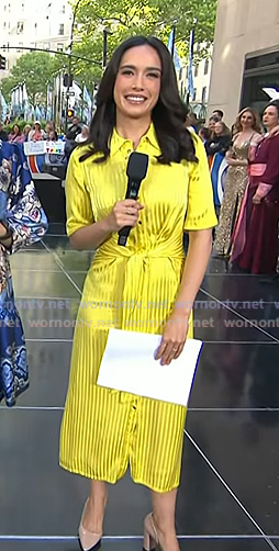 Emilie's yellow striped shirtdress on Today