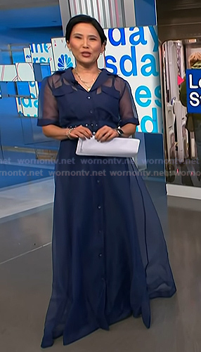 Vicky's blue organza maxi dress on NBC News Daily