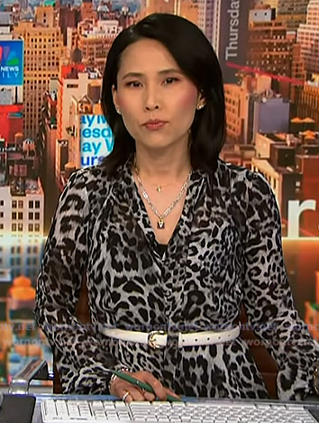 Vicky's grey leopard maxi dress on NBC News Daily