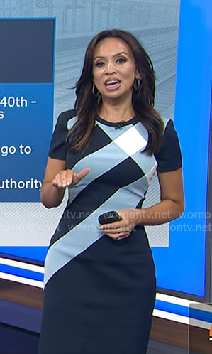 Adelle's navy dress with oversized checks on Today
