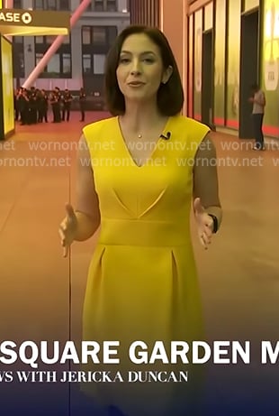 Ali Bauman's yellow v-neck dress on CBS Evening News