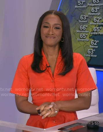 Brittany's orange short sleeve shirtdress on Good Morning America