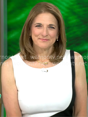 Jill Schlesinger's colorblock sheath dress on CBS Mornings