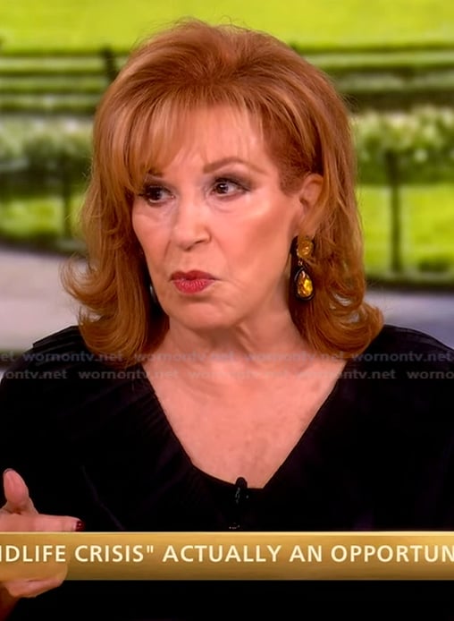 Joy's black ruffle top on The View