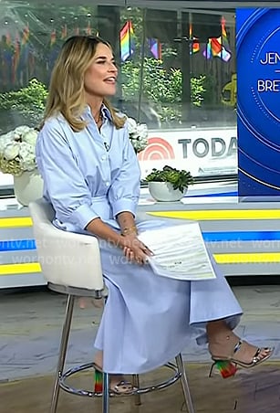 Savannah's metallic rainbow heel sandals on Today