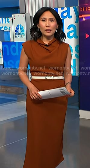Vicky's brown belted dress on NBC News Daily
