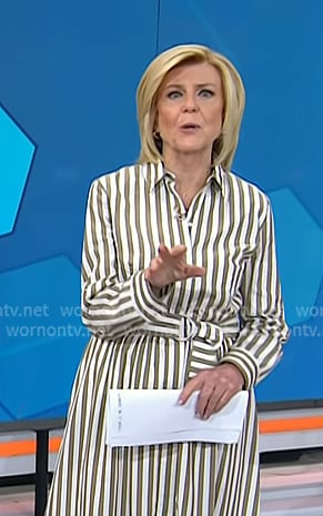 Anne's stripe belted shirtdress on Today