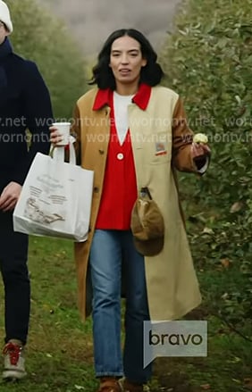 Danielle's colorblock coat on In The City