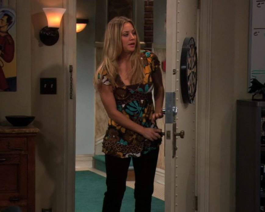 Pennys brown patterned top on The Big Bang Theory