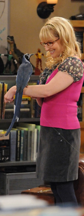 Bernadette’s hot pink vest and black skirt on The Big Bang Theory
