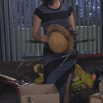 Robin’s striped maxi dress on How I met your mother