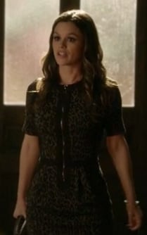 Zoe’s leopard print zip up dress on Hart of Dixie