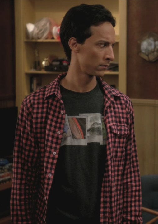 Abed’s polaroid shirt on Community