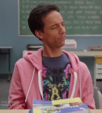 Abed’s rainbow wolf shirt on Community