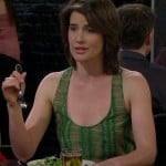 Robin’s green and beige stripe patterned top on How I Met Your Mother
