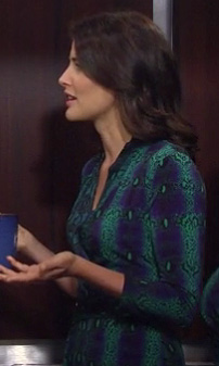 Robin’s blue and green snake print wrap dress on How I Met Your Mother
