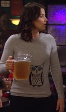 Robin's grey pullover with an owl on it on HIMYM Season 8