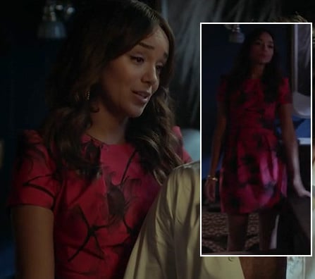 Ashley's red/pink and black dress on Revenge