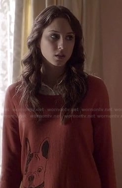 Spencer's dog sweater on PLL