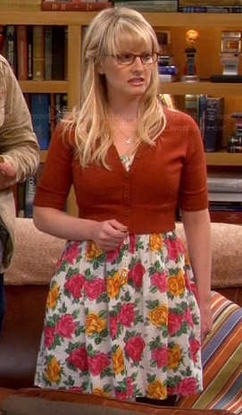 Bernadette’s yellow and pink rose print dress on The Big Bang Theory