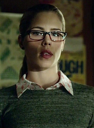 Felicity’s flamingo print shirt on Arrow