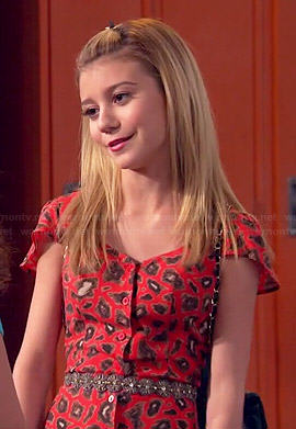 Avery’s red leopard print dress on Dog with a Blog