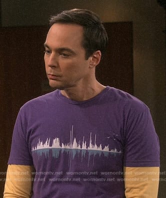 Sheldon’s purple sound wave tee on The Big Bang Theory