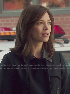 Cat’s black coat with leather collar on Beauty and the Beast