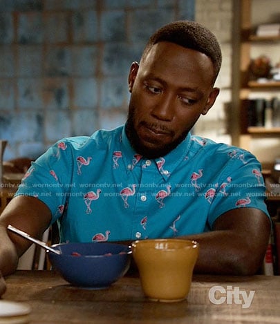 Winston’s blue flamingo print shirt on New Girl