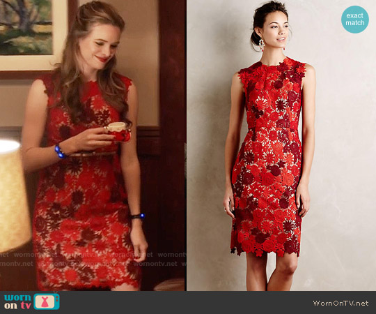 HD in Paris Lace Garden Pencil Dress worn by Caitlin Snow (Danielle Panabaker) on The Flash