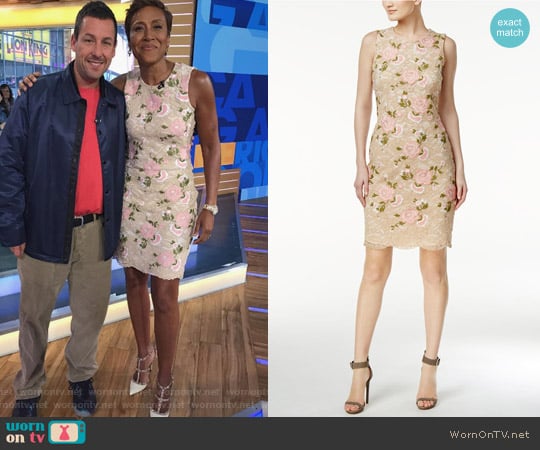 Calvin Klein Embroidered Lace Sheath Dress worn by Robin Roberts on Good Morning America