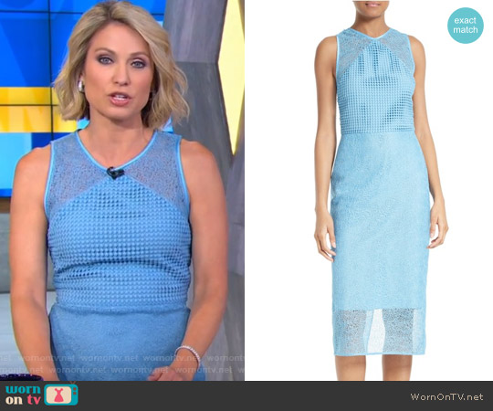Diane von Furstenberg Mixed Lace Sheath Dress worn by Amy Robach on Good Morning America