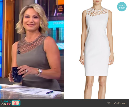Elie Tahari Tina Dress worn by Amy Robach on Good Morning America