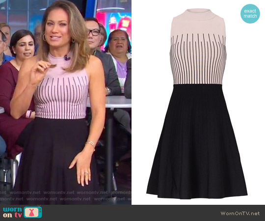 Milly Pink Stripe Flare Dress worn by Ginger Zee on Good Morning America