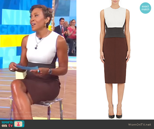 Narciso Rodriguez Colorblocked Sheath Dress worn by Robin Roberts on Good Morning America