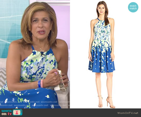 Adrianna Papell Garden Party Placed Floral Print Dress worn by Hoda Kotb on Today