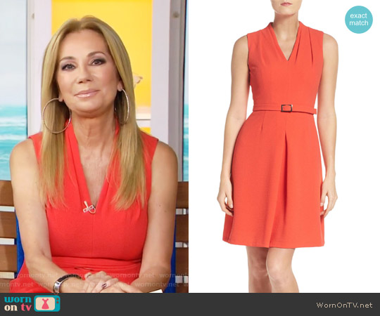 Adrianna Papell Cameron Belted Dress worn by Kathie Lee Gifford on Today