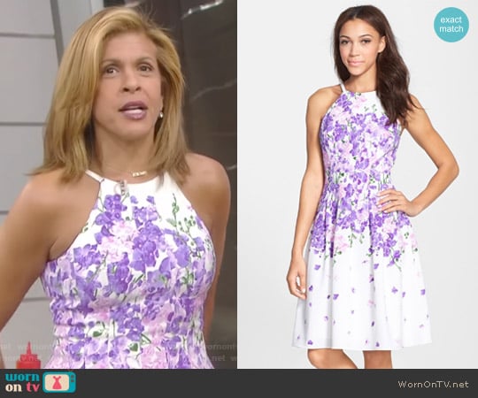 Adrianna Papell Garden Party Print Crepe Fit & Flare Dress worn by Hoda Kotb on Today