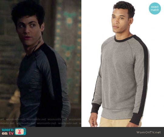 Alternative University Vintage French Terry Pullover Sweatshirt worn by Alexander Lightwood (Matthew Daddario ) on Shadowhunters