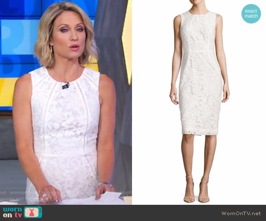 Rachel Roy Lace Sleeveless Sheath Dress worn by Amy Robach on Good Morning America