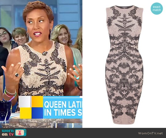 Alexander Mcqueen Bi-Colour Spine Lace Jacquard Pencil Dress worn by Robin Roberts on Good Morning America